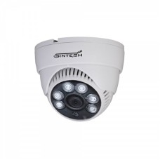 2MP-22P - Dome